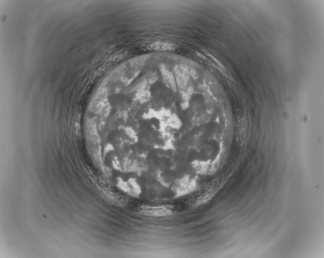 X0000085810553200704091609