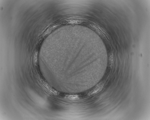 X0000085810554200704091609