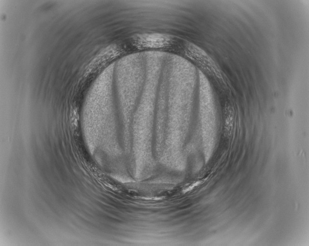 X0000085810555200704091609