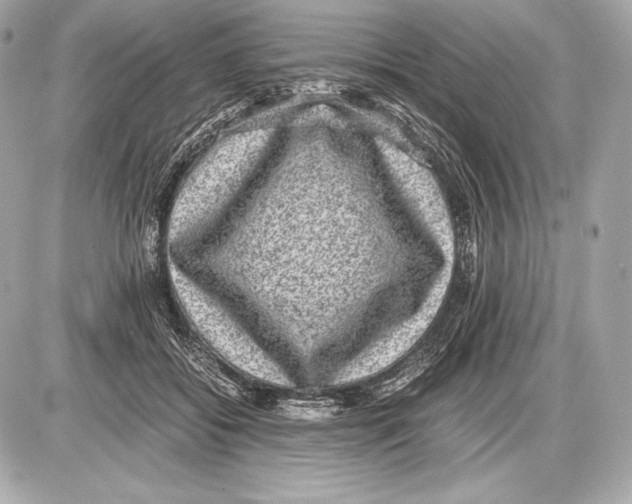 X0000085810556200704091609