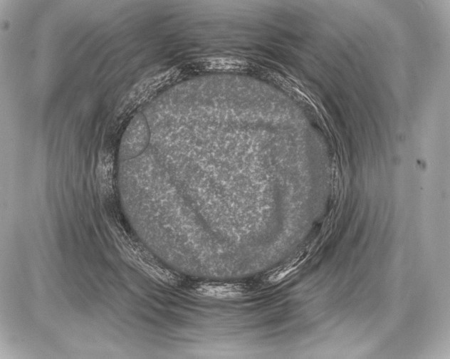 X0000085810557200704091609