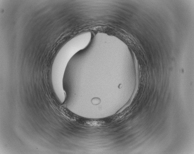 X0000085810558200704091609