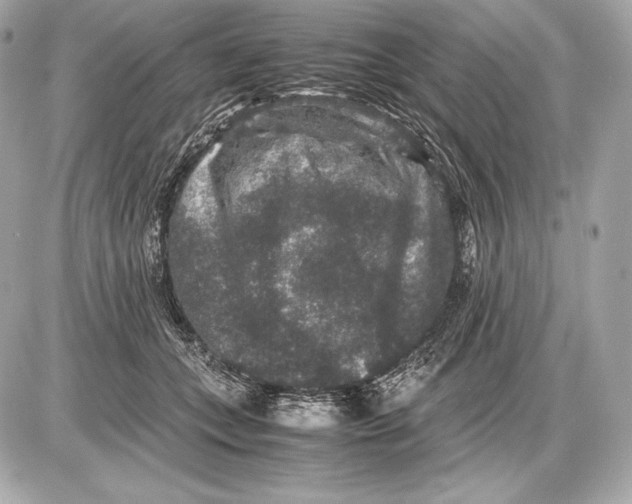 X0000085810559200704091609