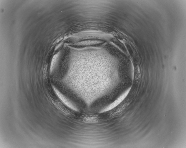 X0000085810560200704091609