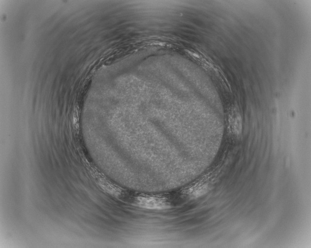 X0000085810561200704091609