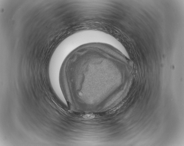 X0000085810562200704091609