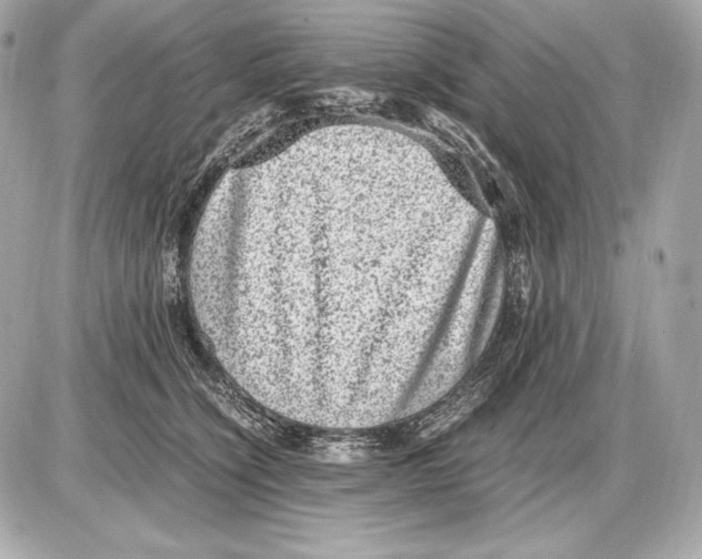 X0000085810564200704091609