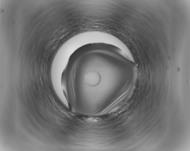 X0000085810566200704091609