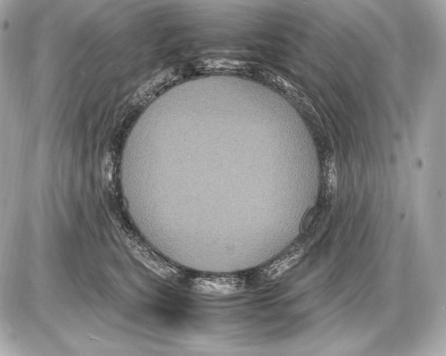 X0000085810567200704091609