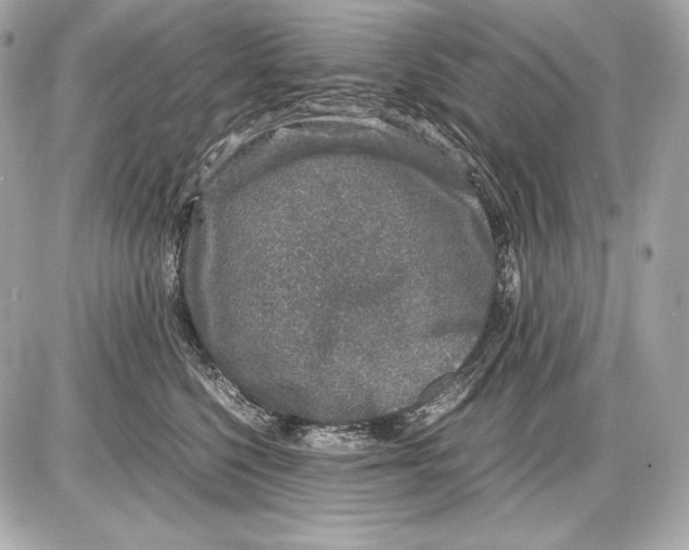 X0000085810568200704091610