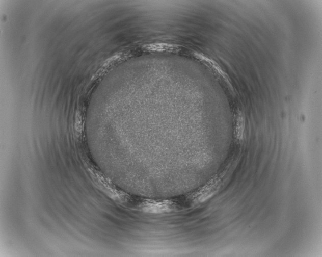 X0000085810569200704091610