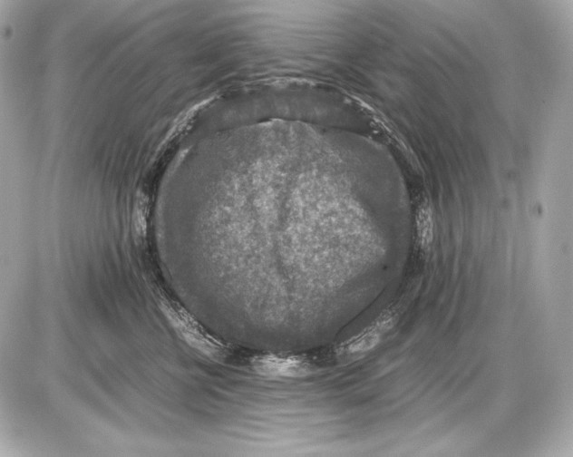 X0000085810570200704091610