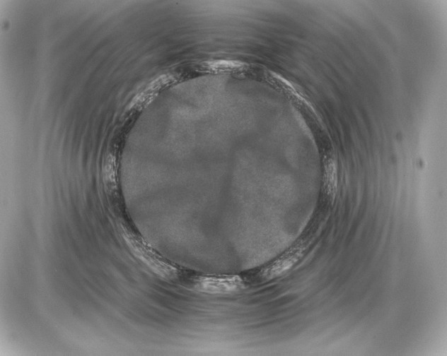 X0000085810571200704091610