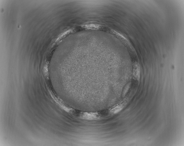 X0000085810573200704091610