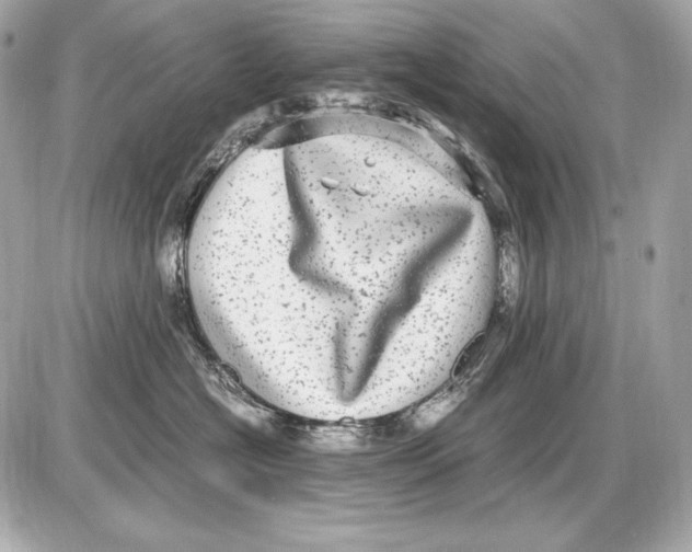 X0000085810574200704091610