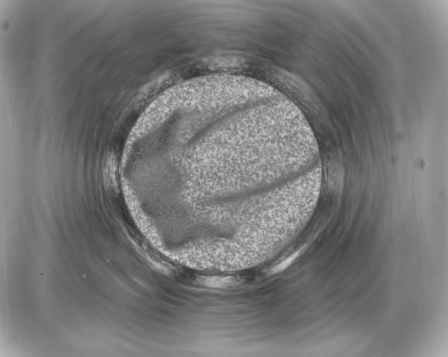 X0000085810575200704091610