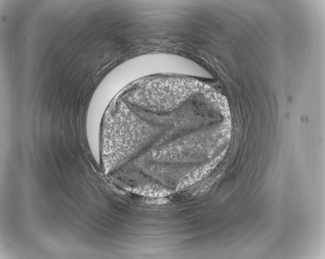 X0000085810576200704091610