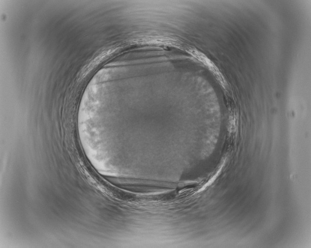 X0000085810577200704091609