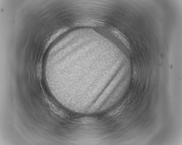 X0000085810578200704091609