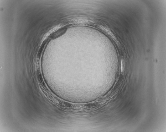 X0000085810579200704091609