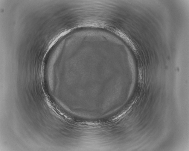 X0000085810580200704091609