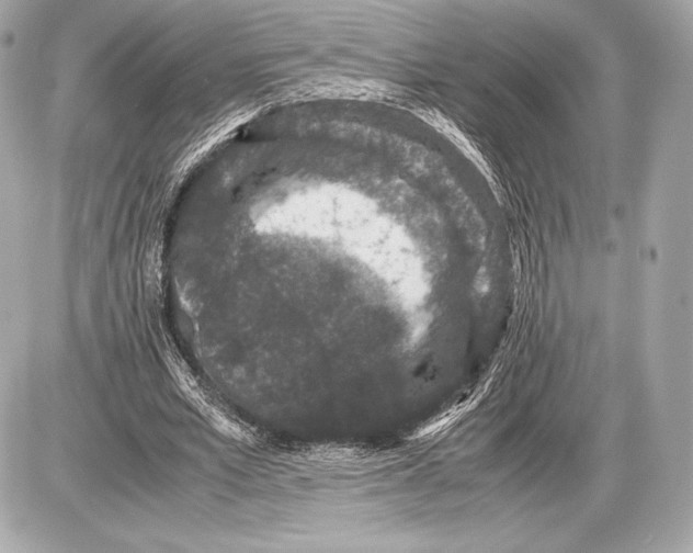 X0000085810581200704091609