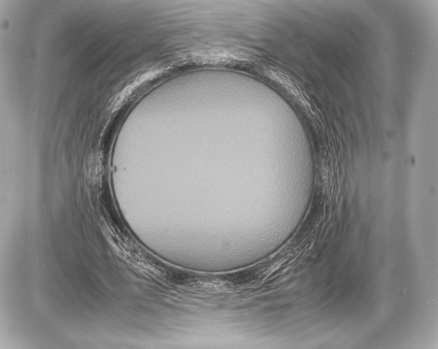 X0000085810583200704091609