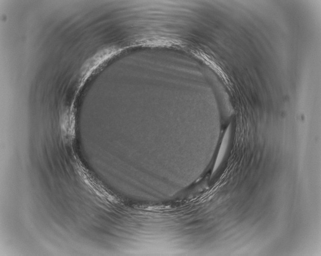 X0000085810584200704091609