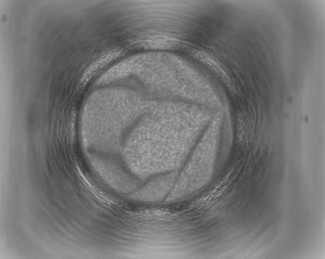 X0000085810586200704091609