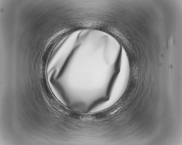 X0000085810587200704091609