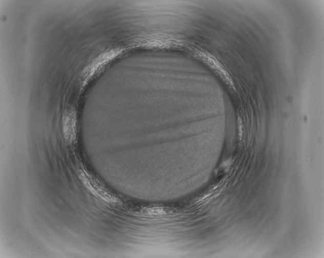 X0000085810588200704091609