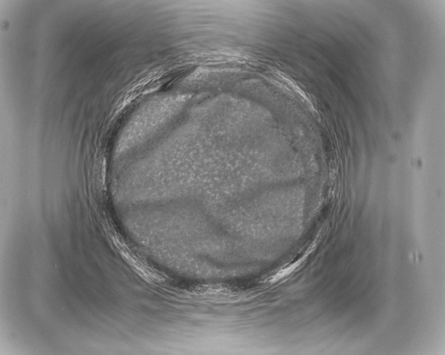 X0000085810589200704091609