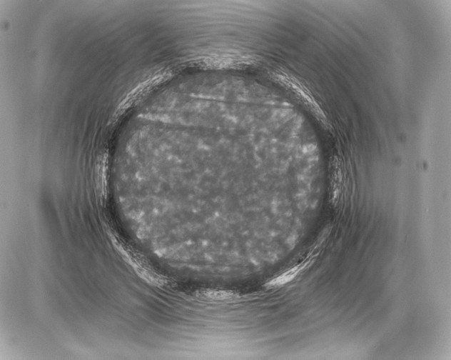 X0000085810590200704091609