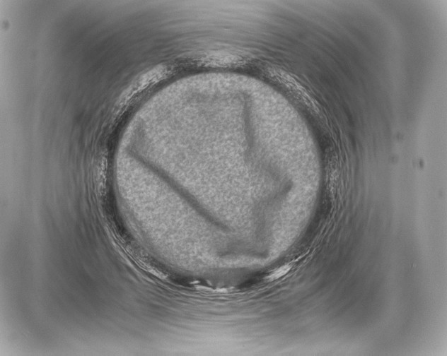 X0000085810591200704091609