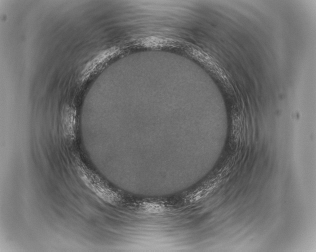 X0000085810592200704091609