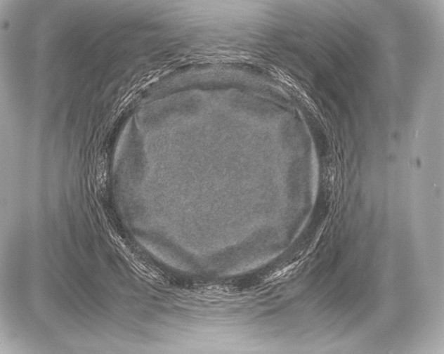 X0000085810593200704091609