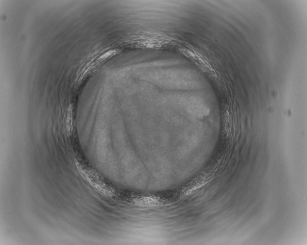 X0000085810594200704091609