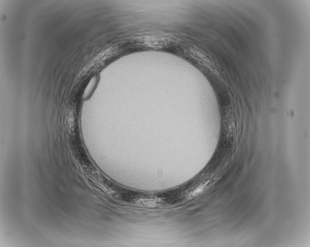 X0000085810595200704091609