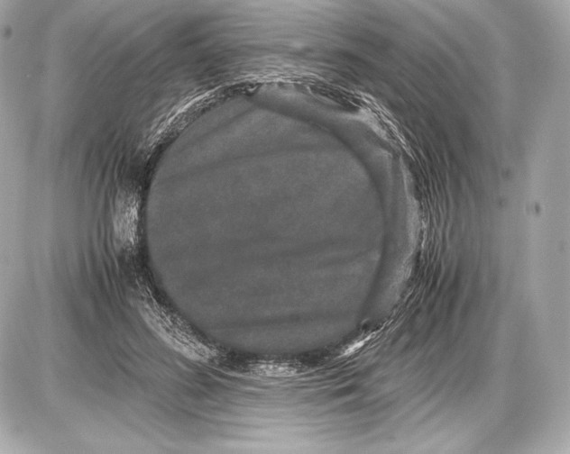 X0000085810596200704091609