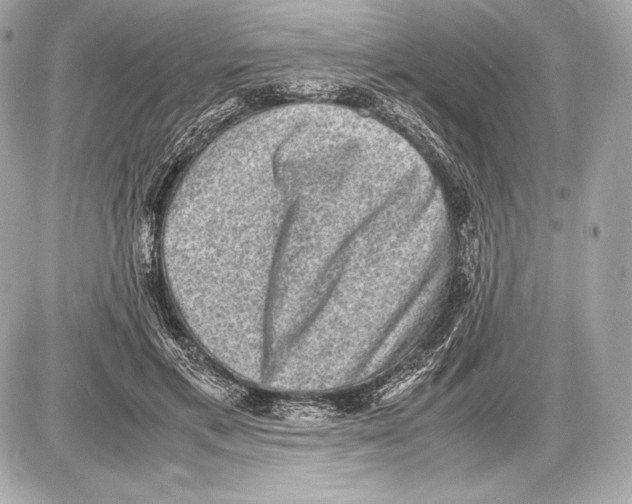 X0000085810597200704091609