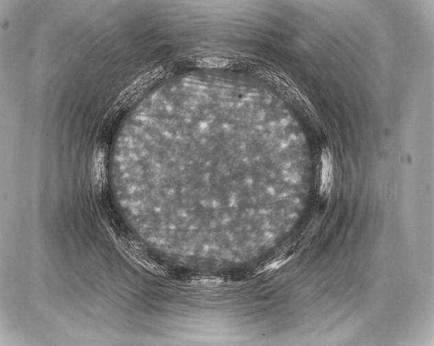 X0000085810598200704091608