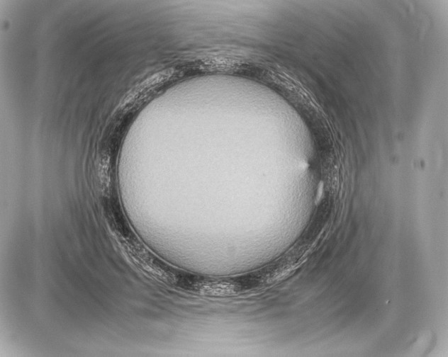 X0000085810599200704091608