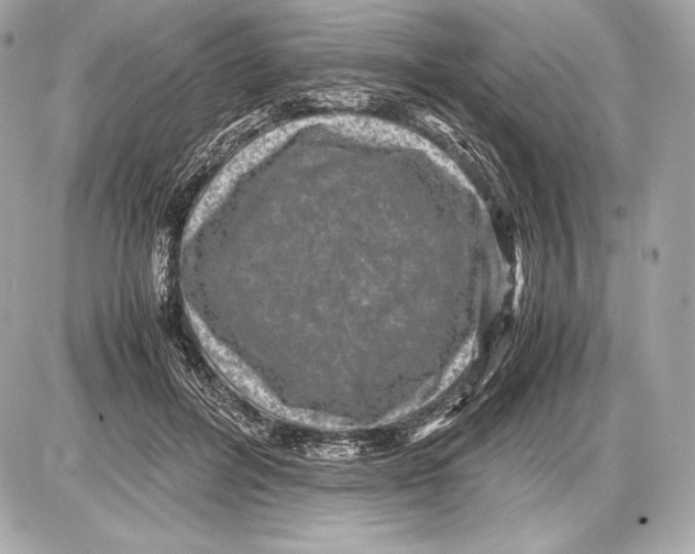 X0000085810600200704091608