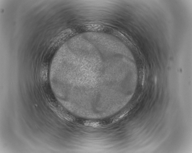 X0000085810602200704091608