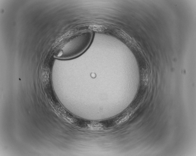 X0000085810603200704091608