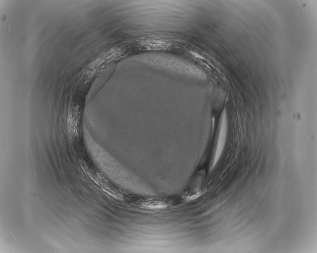 X0000085810604200704091608