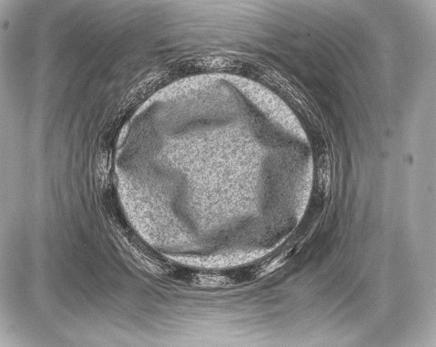 X0000085810605200704091608