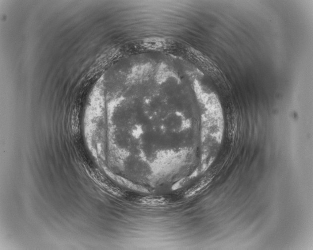 X0000085810606200704091608