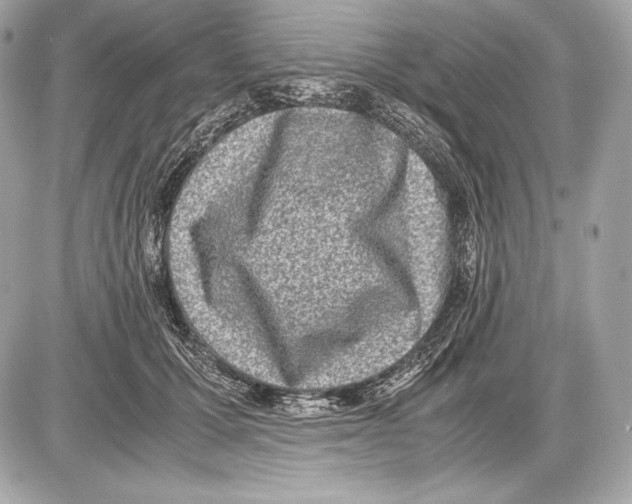 X0000085810607200704091608