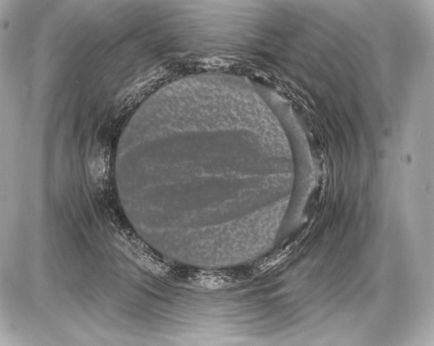 X0000085810608200704091608